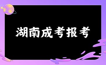 2024年湖南成考報(bào)考的流程
